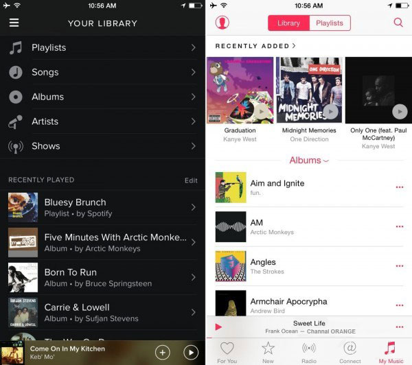 Spotify library vs downloads
